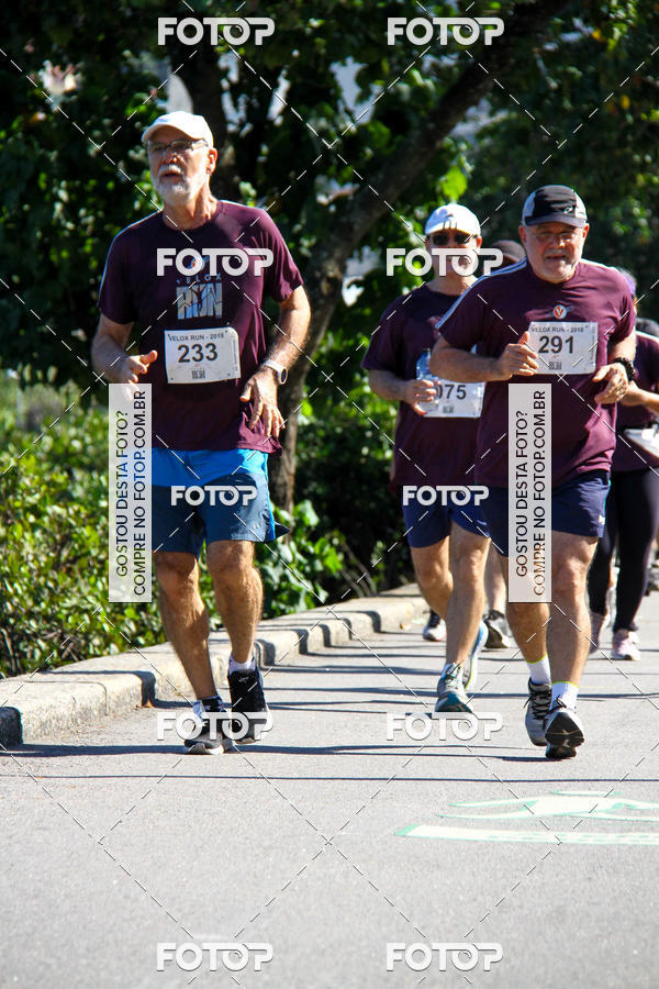 Buy your photos of the eventVelox Run on Fotop
