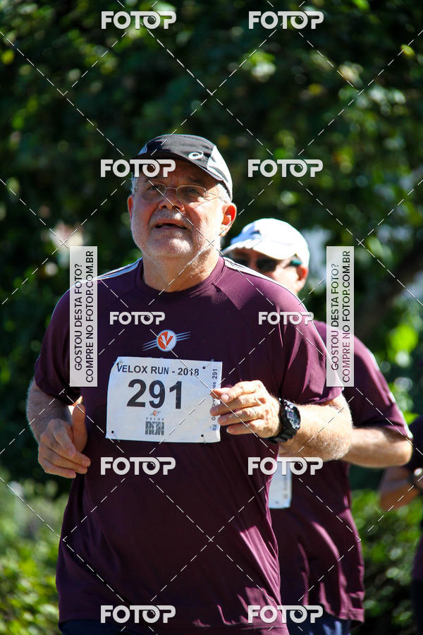 Buy your photos of the eventVelox Run on Fotop