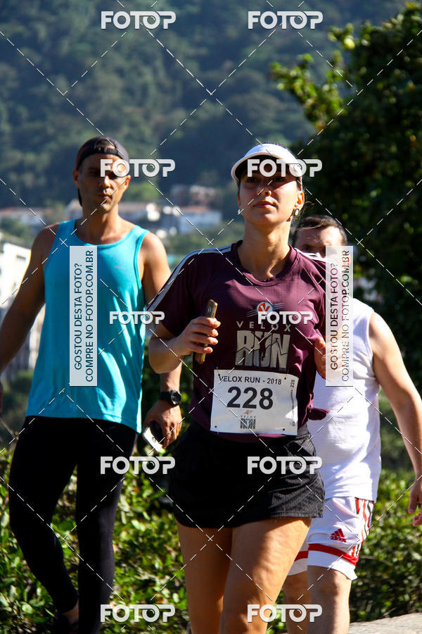 Buy your photos of the eventVelox Run on Fotop