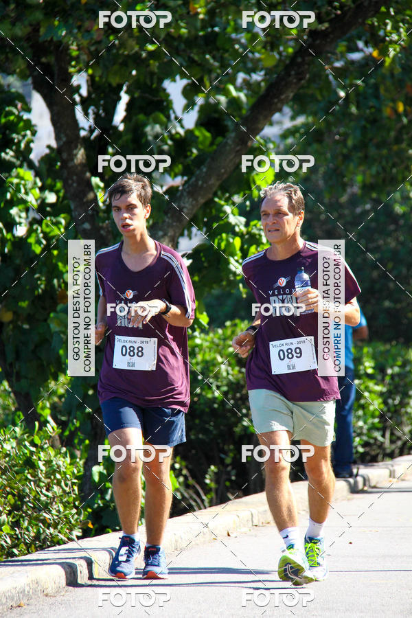 Buy your photos of the eventVelox Run on Fotop