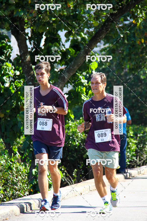 Buy your photos of the eventVelox Run on Fotop