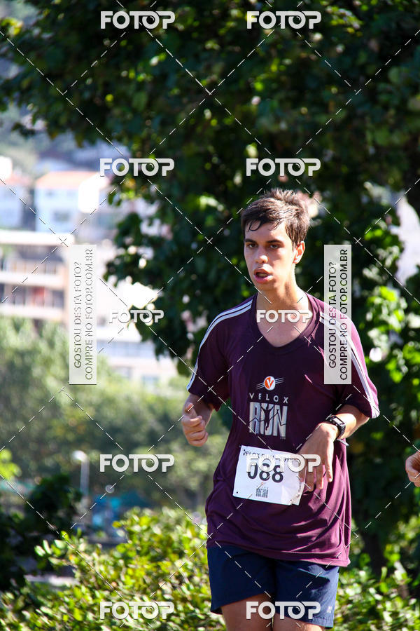 Buy your photos of the eventVelox Run on Fotop