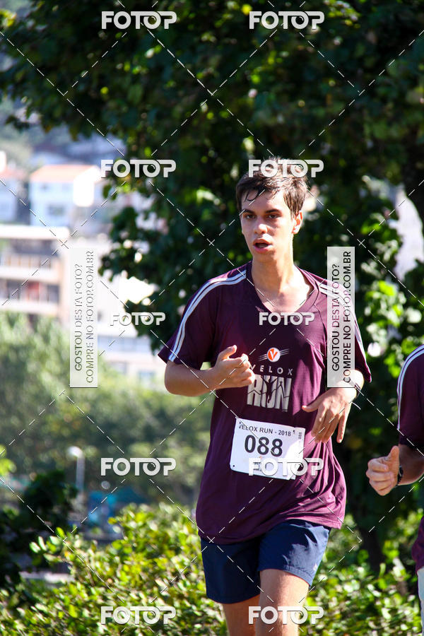 Buy your photos of the eventVelox Run on Fotop