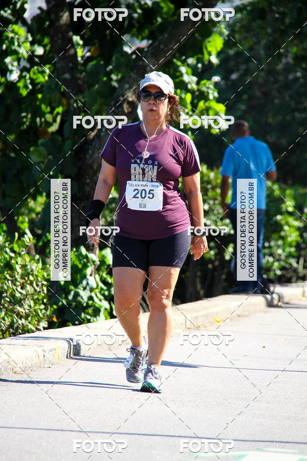 Buy your photos of the eventVelox Run on Fotop