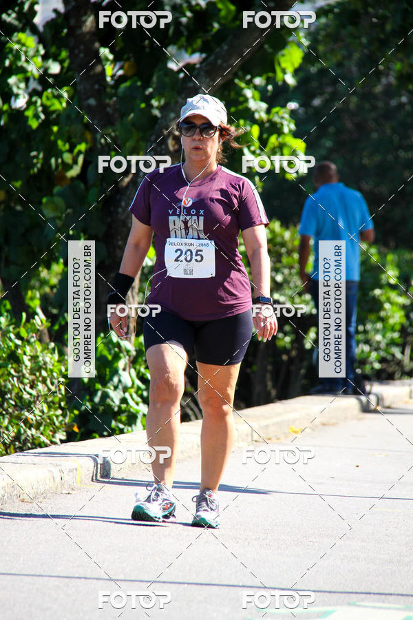 Buy your photos of the eventVelox Run on Fotop