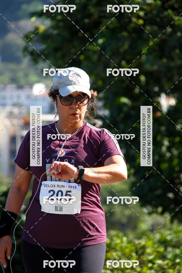 Buy your photos of the eventVelox Run on Fotop