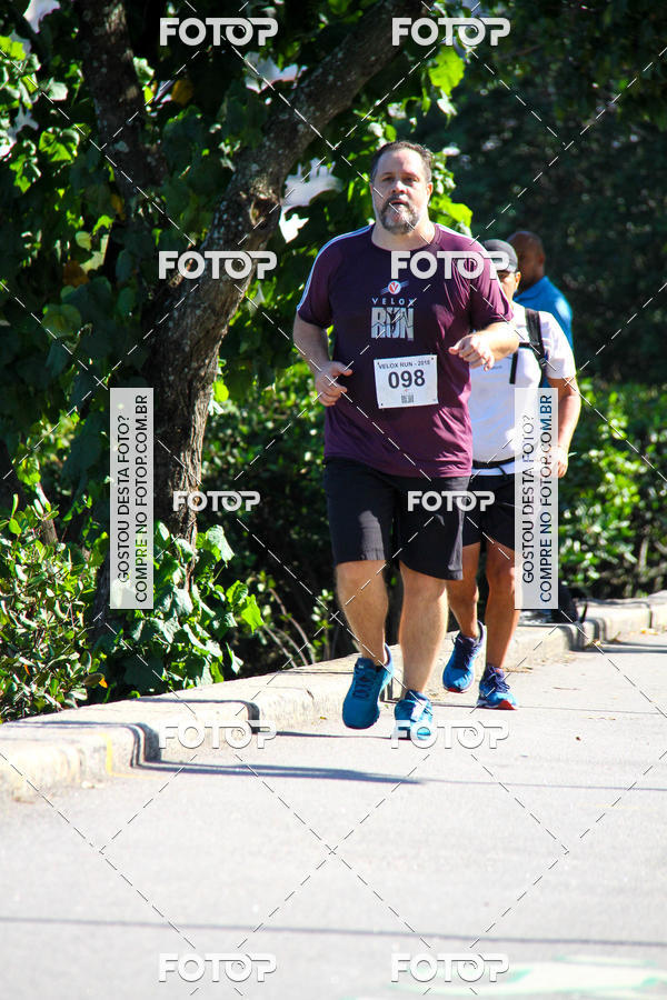 Buy your photos of the eventVelox Run on Fotop