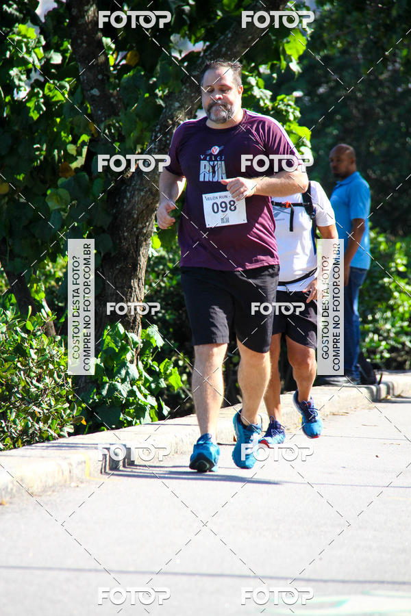 Buy your photos of the eventVelox Run on Fotop