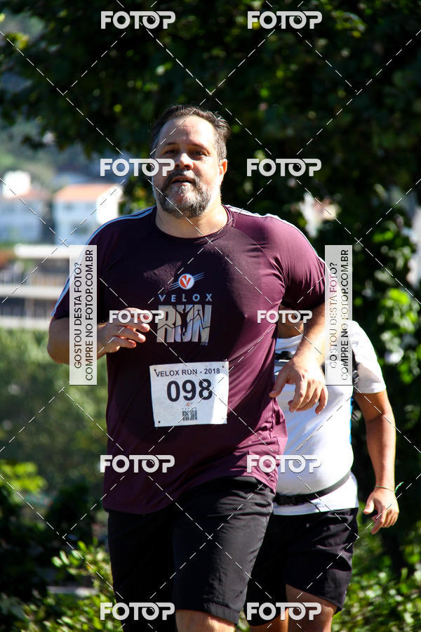 Buy your photos of the eventVelox Run on Fotop