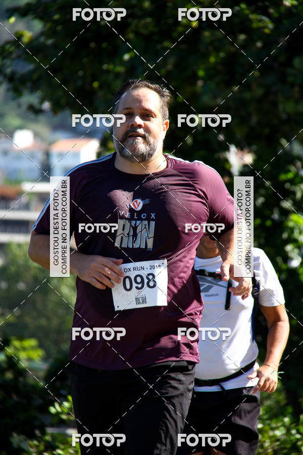 Buy your photos of the eventVelox Run on Fotop