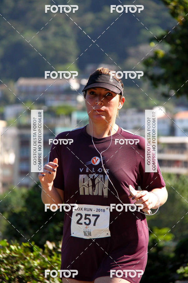 Buy your photos of the eventVelox Run on Fotop