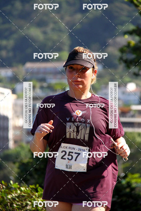 Buy your photos of the eventVelox Run on Fotop