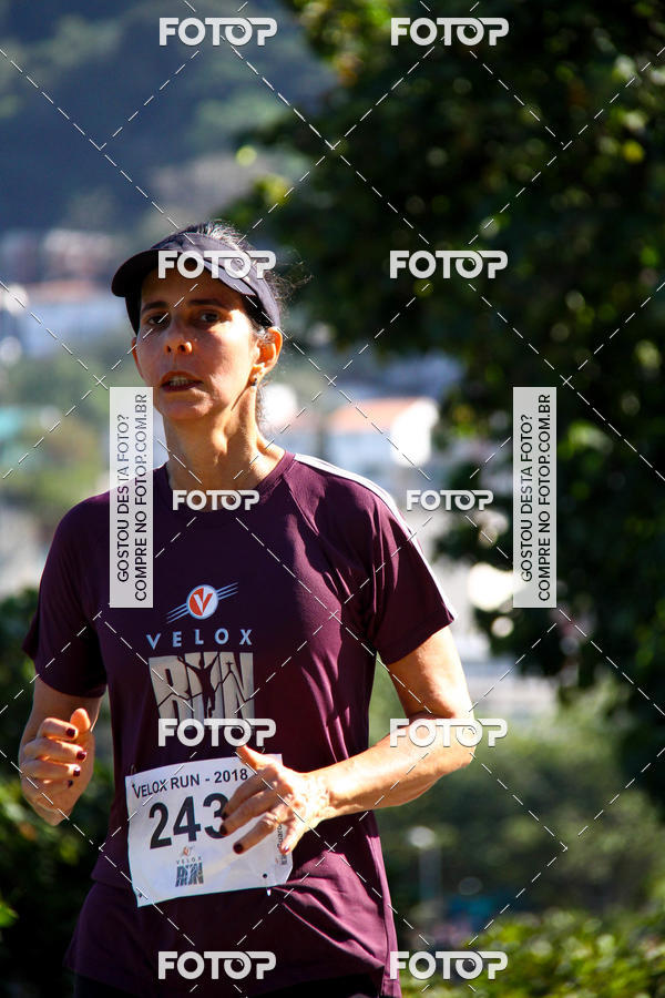 Buy your photos of the eventVelox Run on Fotop