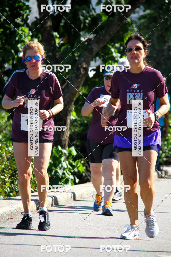 Buy your photos of the eventVelox Run on Fotop