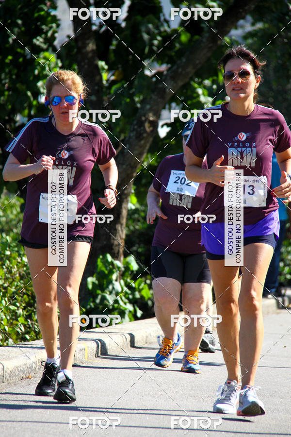 Buy your photos of the eventVelox Run on Fotop