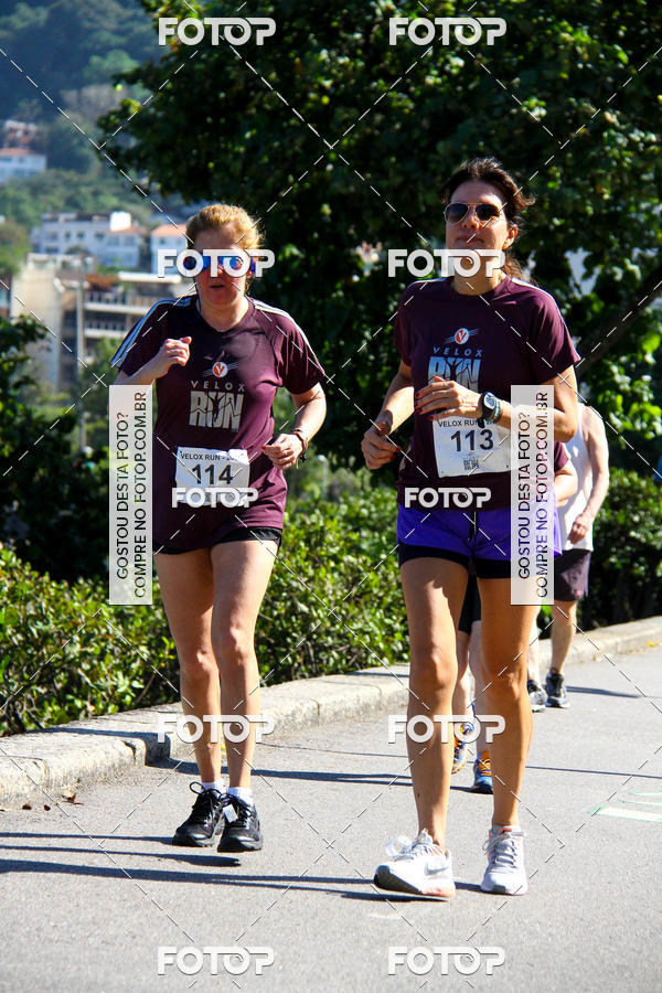 Buy your photos of the eventVelox Run on Fotop
