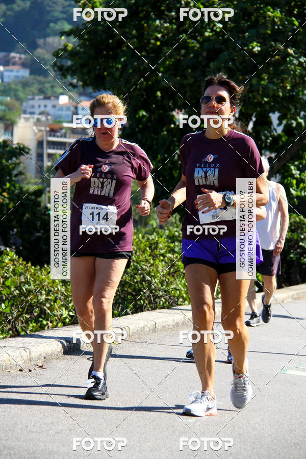 Buy your photos of the eventVelox Run on Fotop