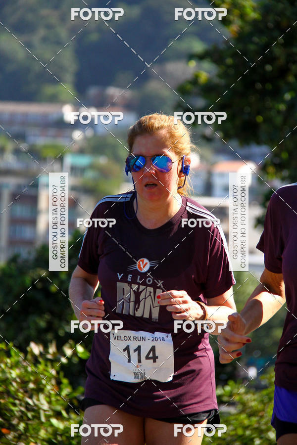 Buy your photos of the eventVelox Run on Fotop