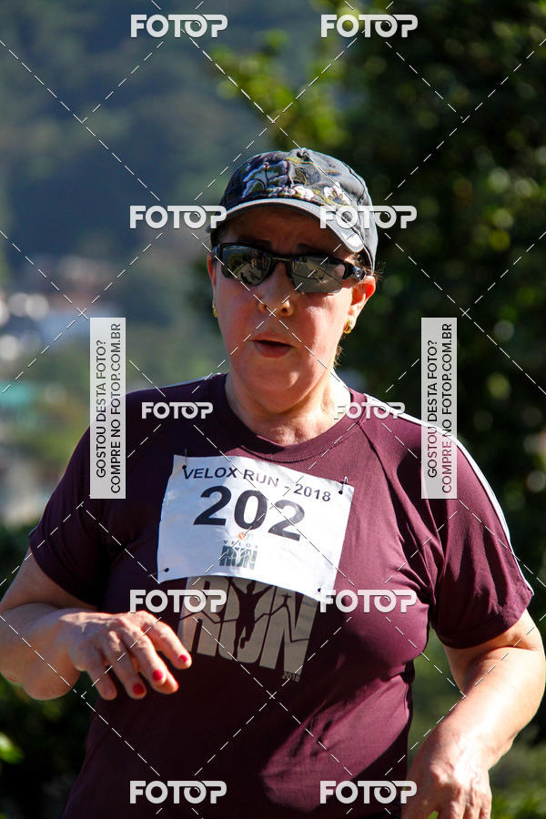 Buy your photos of the eventVelox Run on Fotop