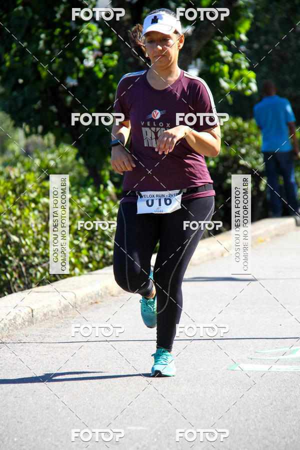 Buy your photos of the eventVelox Run on Fotop