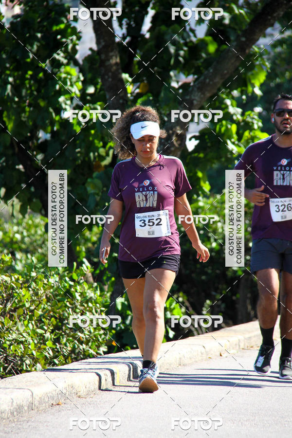 Buy your photos of the eventVelox Run on Fotop