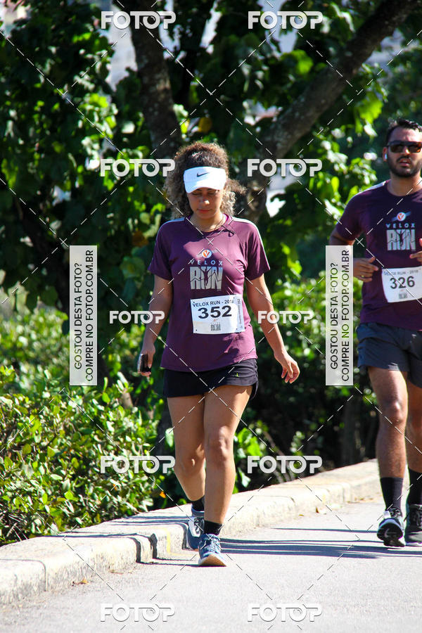 Buy your photos of the eventVelox Run on Fotop