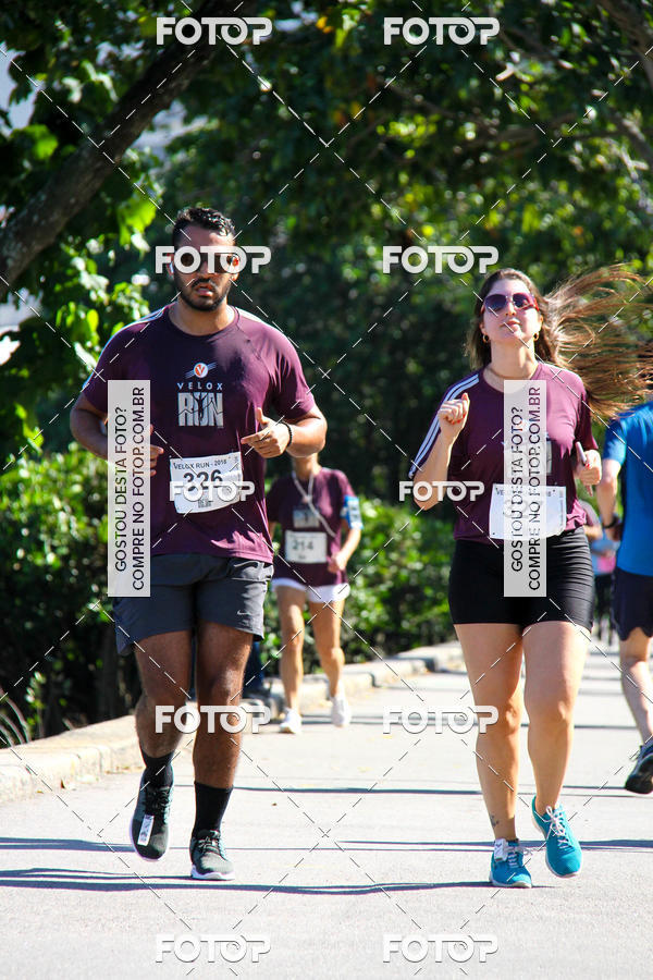 Buy your photos of the eventVelox Run on Fotop