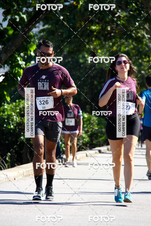 Buy your photos of the eventVelox Run on Fotop