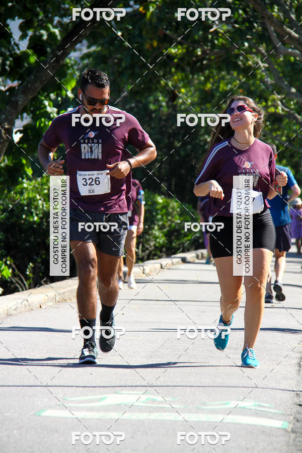 Buy your photos of the eventVelox Run on Fotop