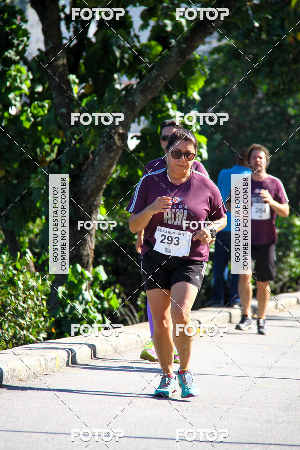 Buy your photos of the eventVelox Run on Fotop