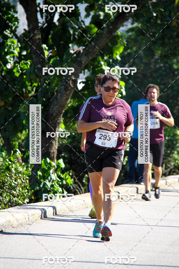 Buy your photos of the eventVelox Run on Fotop