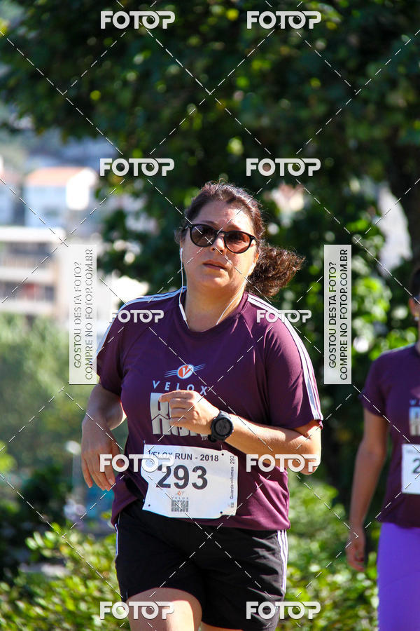 Buy your photos of the eventVelox Run on Fotop