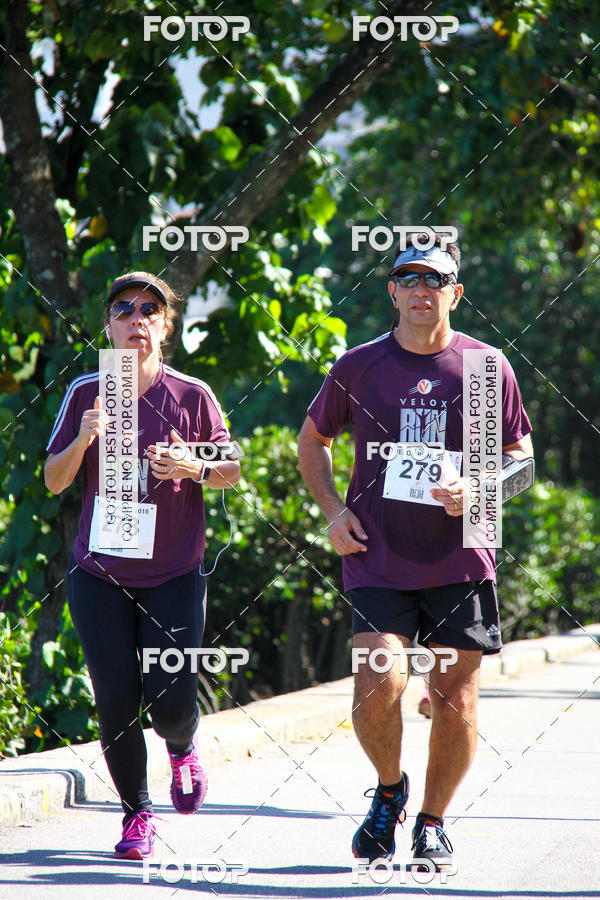 Buy your photos of the eventVelox Run on Fotop