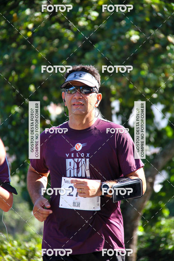 Buy your photos of the eventVelox Run on Fotop