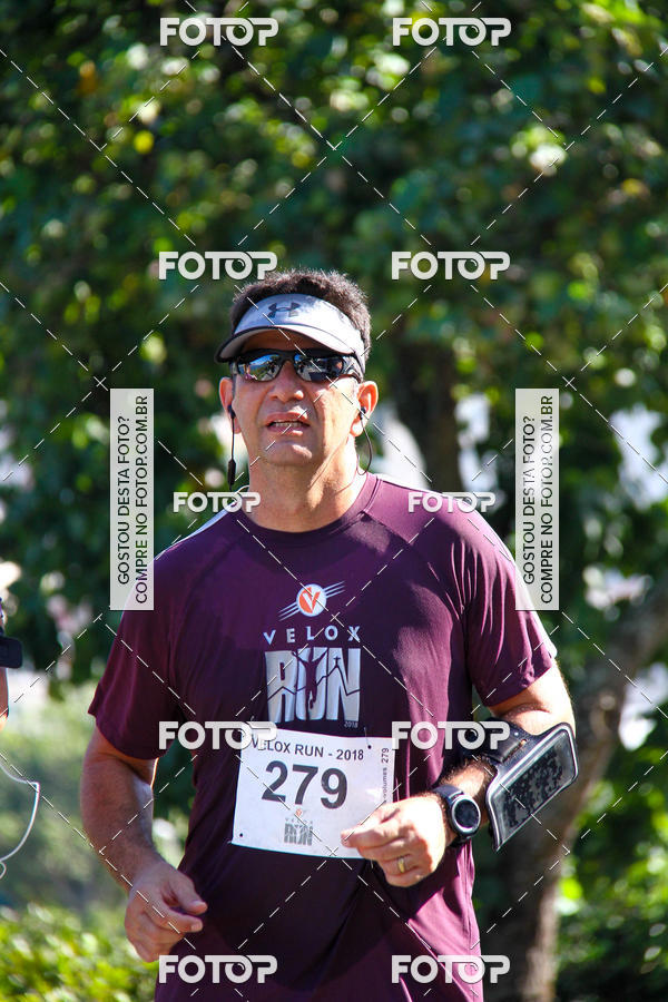 Buy your photos of the eventVelox Run on Fotop