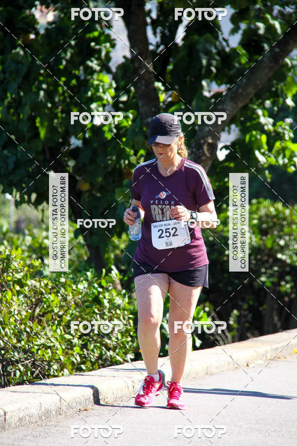 Buy your photos of the eventVelox Run on Fotop