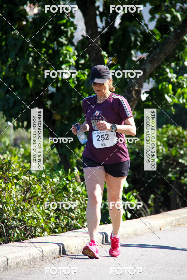 Buy your photos of the eventVelox Run on Fotop