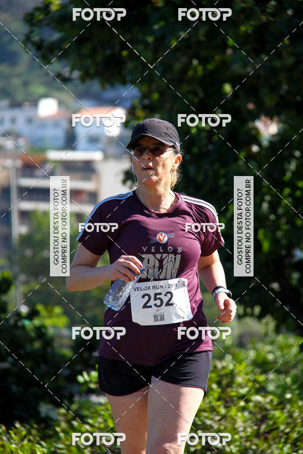 Buy your photos of the eventVelox Run on Fotop