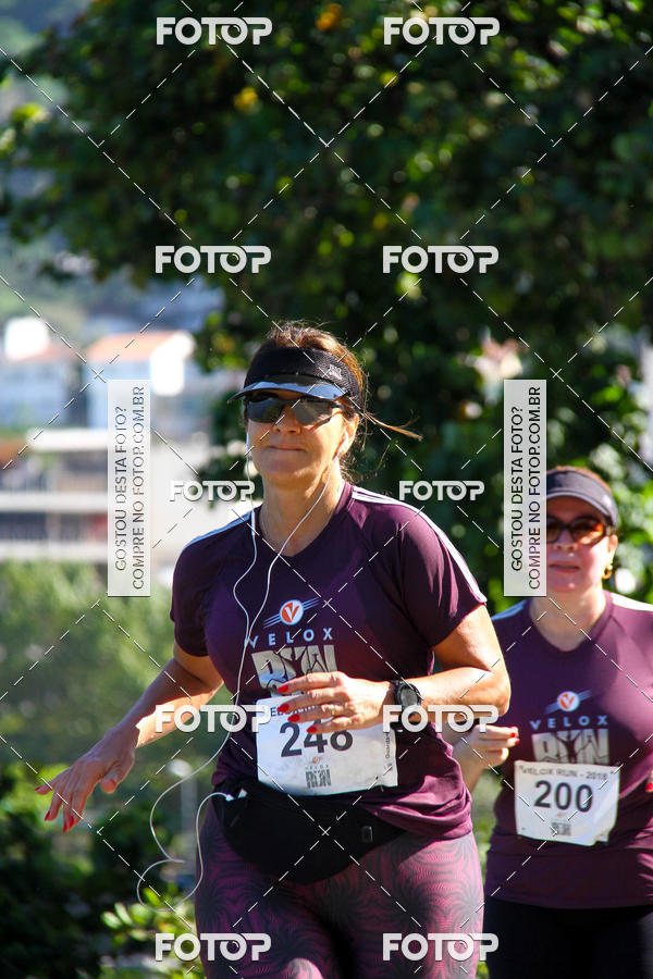 Buy your photos of the eventVelox Run on Fotop