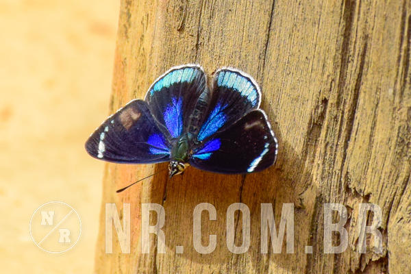 Buy your photos of the eventNR1 - Cl�ssico de 03 a 05/08/18 on Fotop