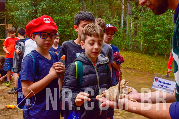 Buy your photos of the eventNR1 - Cl�ssico de 03 a 05/08/18 on Fotop