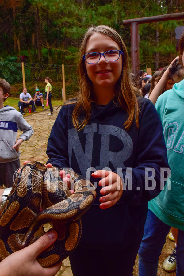 Buy your photos of the eventNR1 - Cl�ssico de 03 a 05/08/18 on Fotop