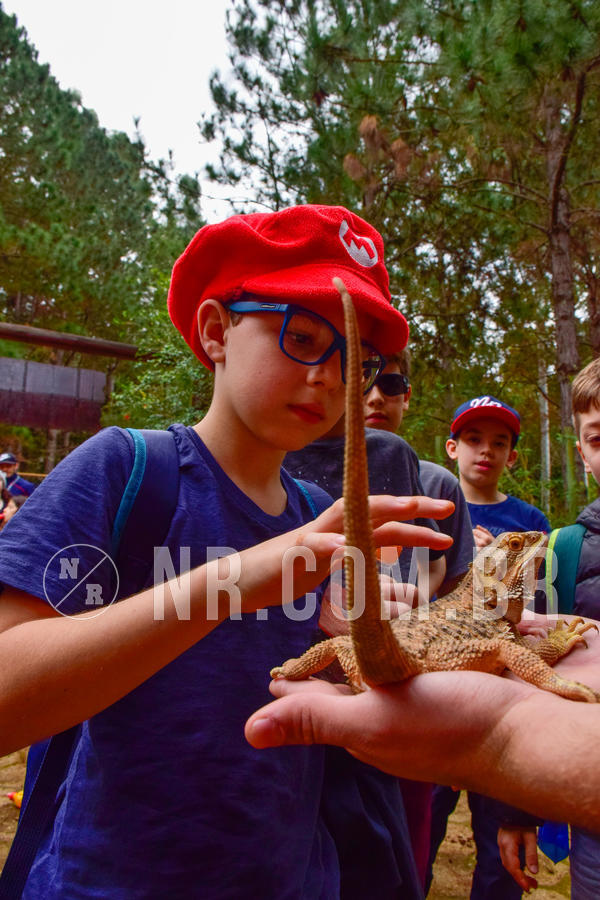 Buy your photos of the eventNR1 - Cl�ssico de 03 a 05/08/18 on Fotop