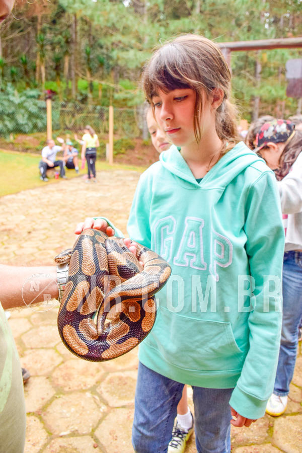 Buy your photos of the eventNR1 - Cl�ssico de 03 a 05/08/18 on Fotop