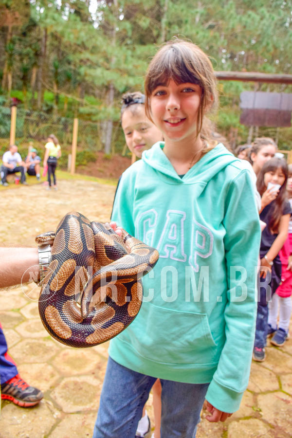 Buy your photos of the eventNR1 - Cl�ssico de 03 a 05/08/18 on Fotop