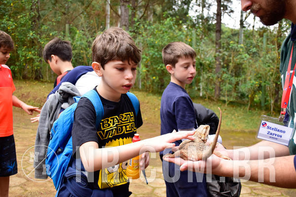 Buy your photos of the eventNR1 - Cl�ssico de 03 a 05/08/18 on Fotop