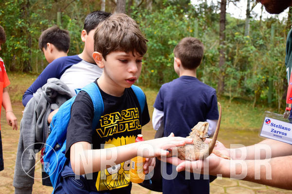 Buy your photos of the eventNR1 - Cl�ssico de 03 a 05/08/18 on Fotop