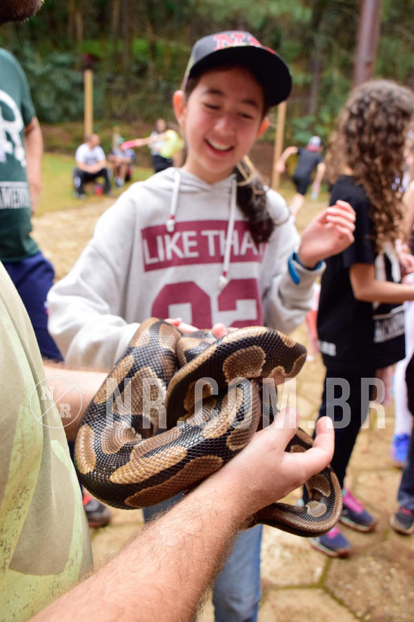 Buy your photos of the eventNR1 - Cl�ssico de 03 a 05/08/18 on Fotop