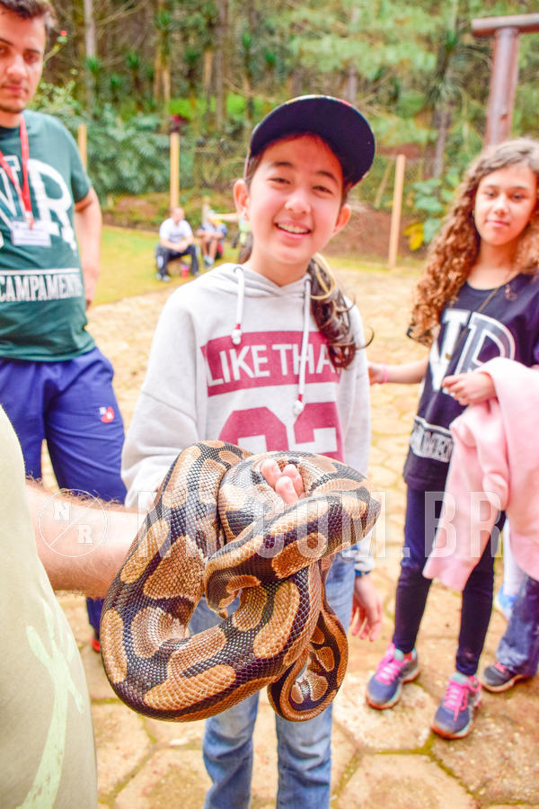 Buy your photos of the eventNR1 - Cl�ssico de 03 a 05/08/18 on Fotop