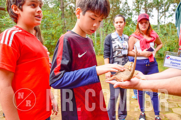 Buy your photos of the eventNR1 - Cl�ssico de 03 a 05/08/18 on Fotop